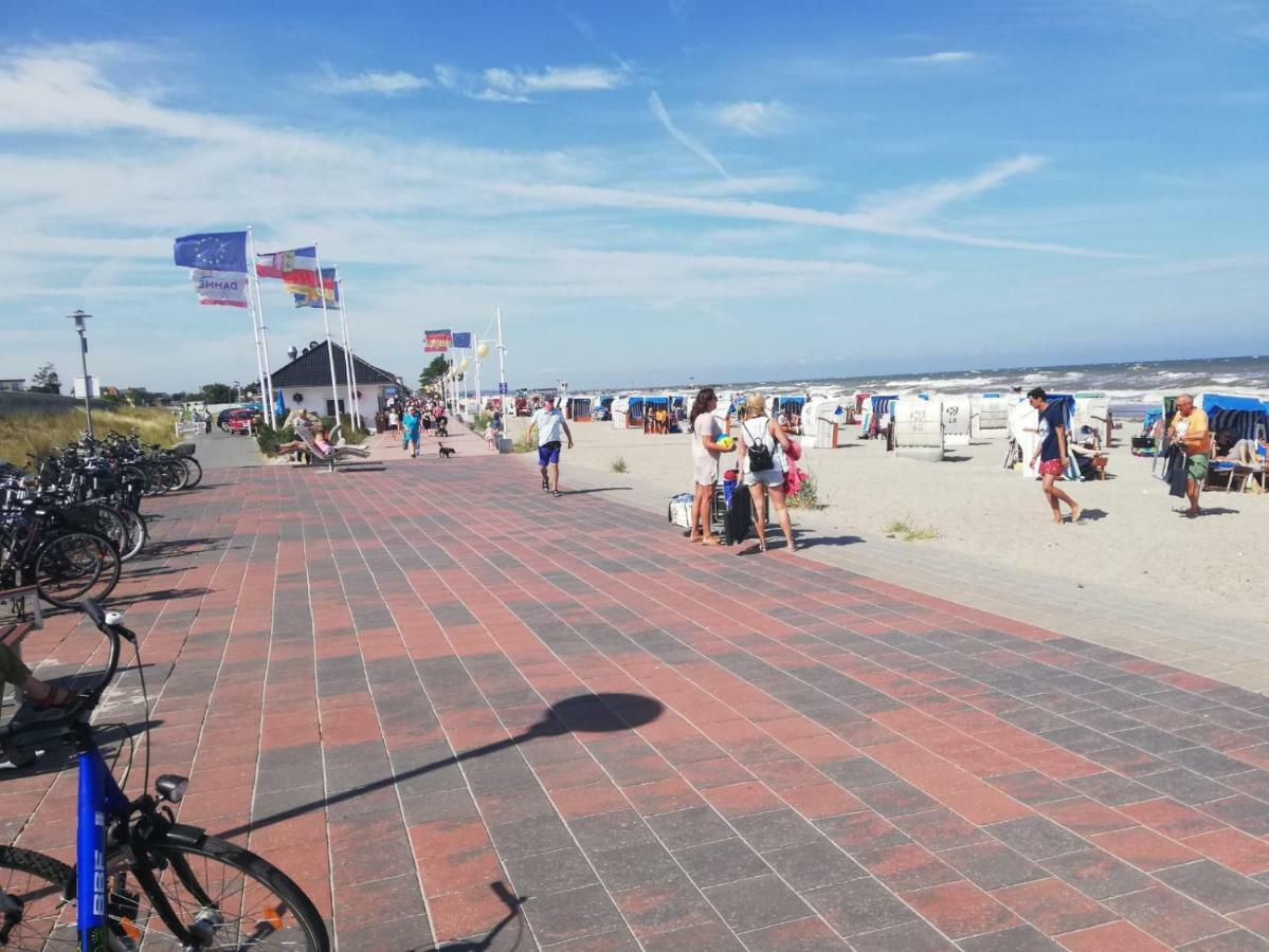 Wohnung Seepferdchen - Haus Hopp Dahme  Exteriör bild